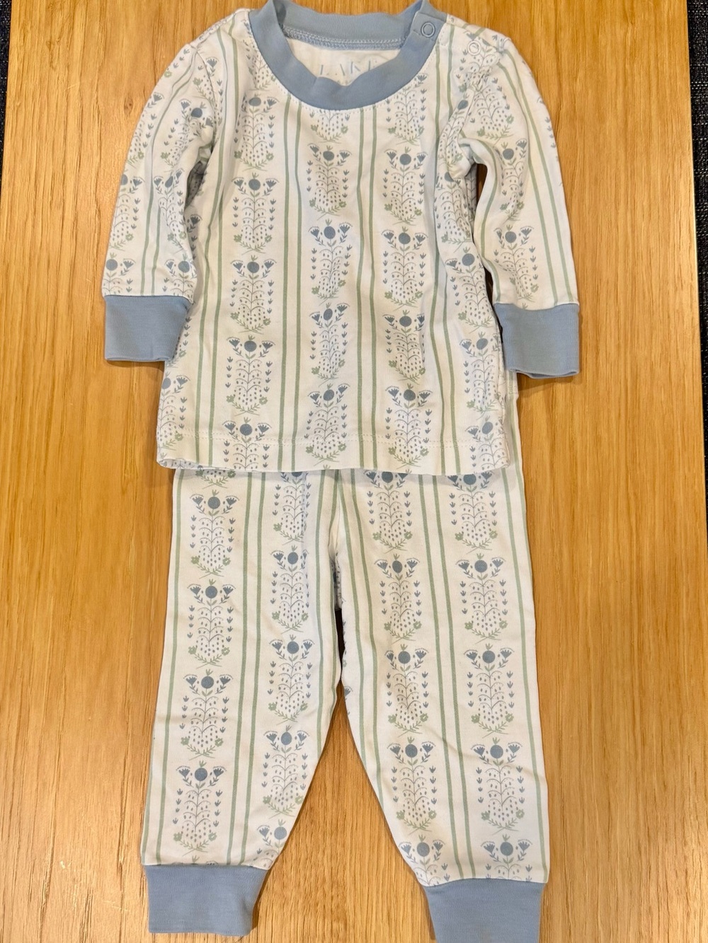 Light Blue Floral Stripe Lake Pima Cotton Pajama Set